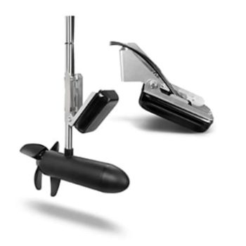 Panoptix PS31